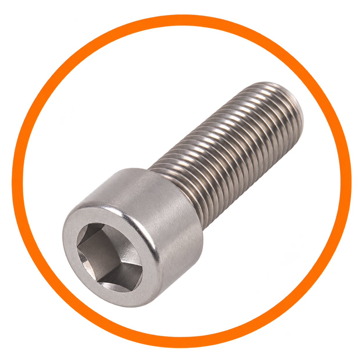 SS Allen Cap ( Socket Head)