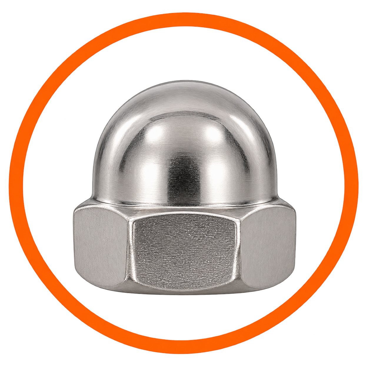 SS Dome Nut