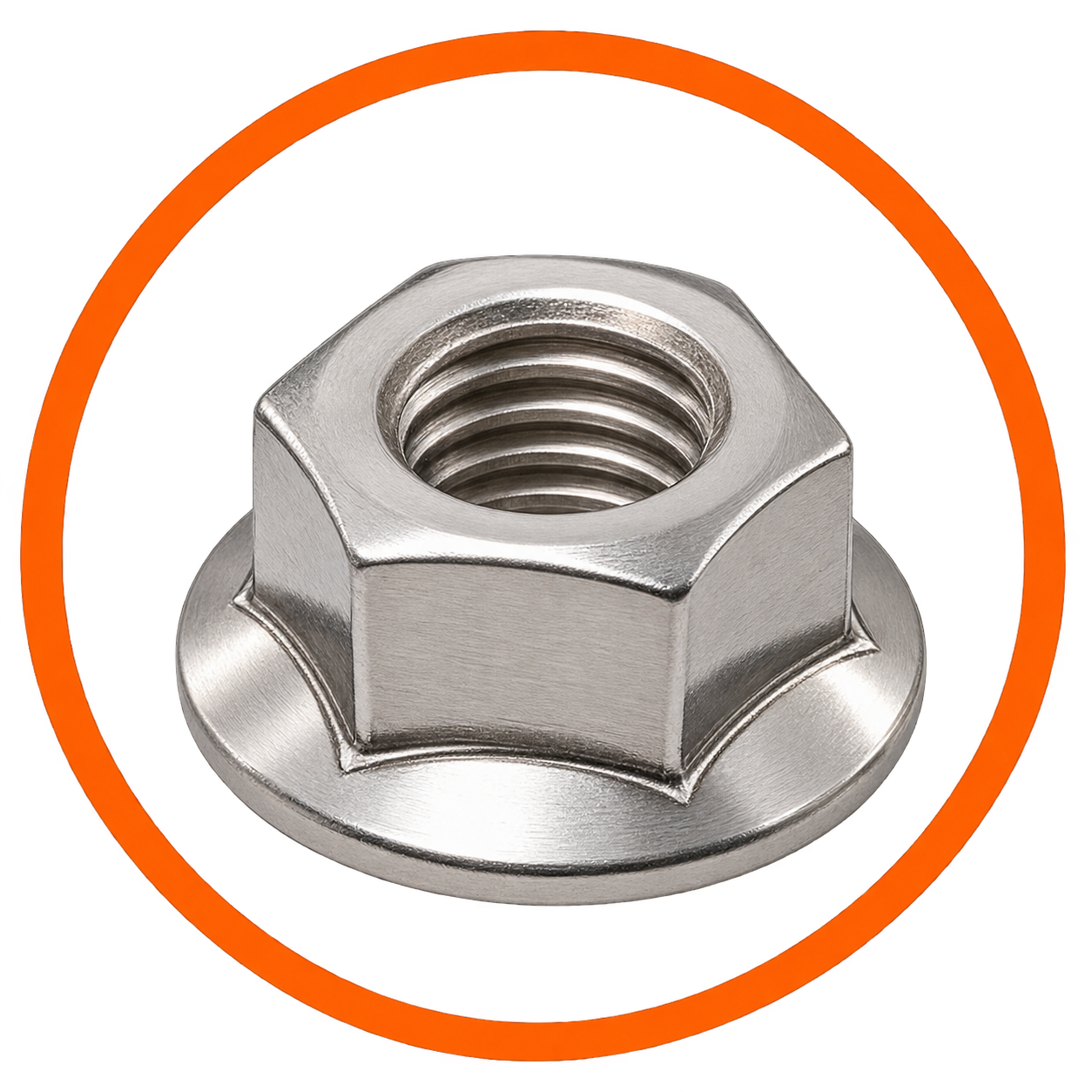 SS Flange Nut