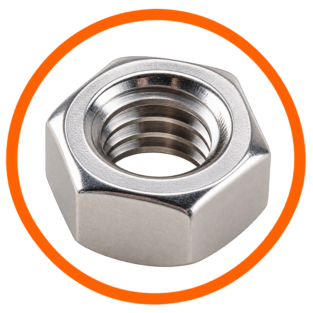 SS Hex Nut
