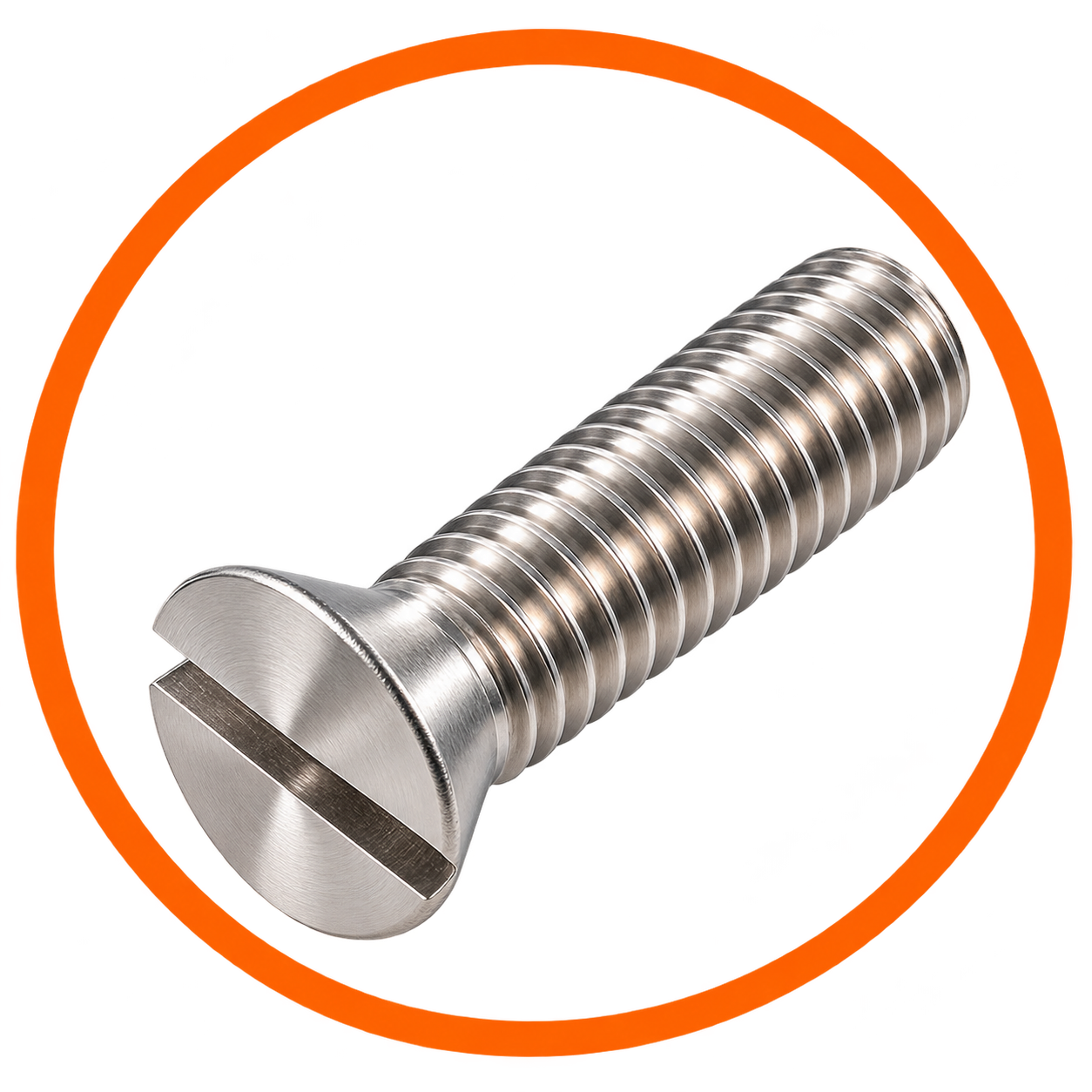 SS CSK Slotted ( Counter Stunk )