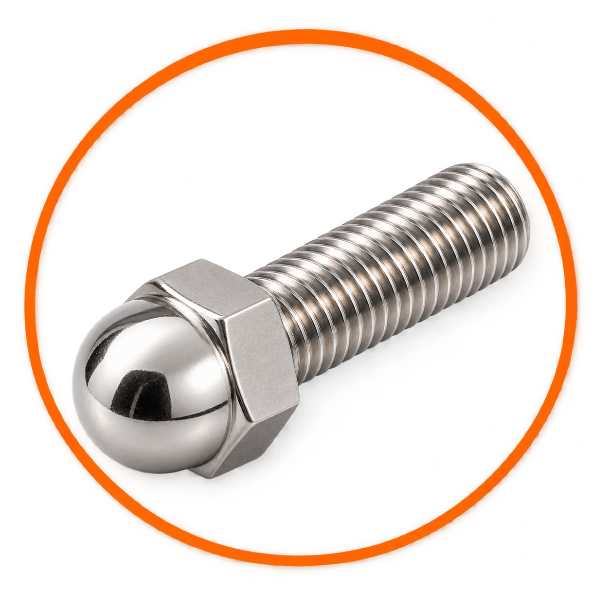 SS  Hex Dome Bolt
