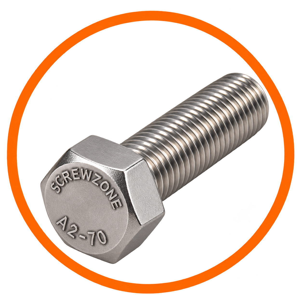 SS Hex Bolts