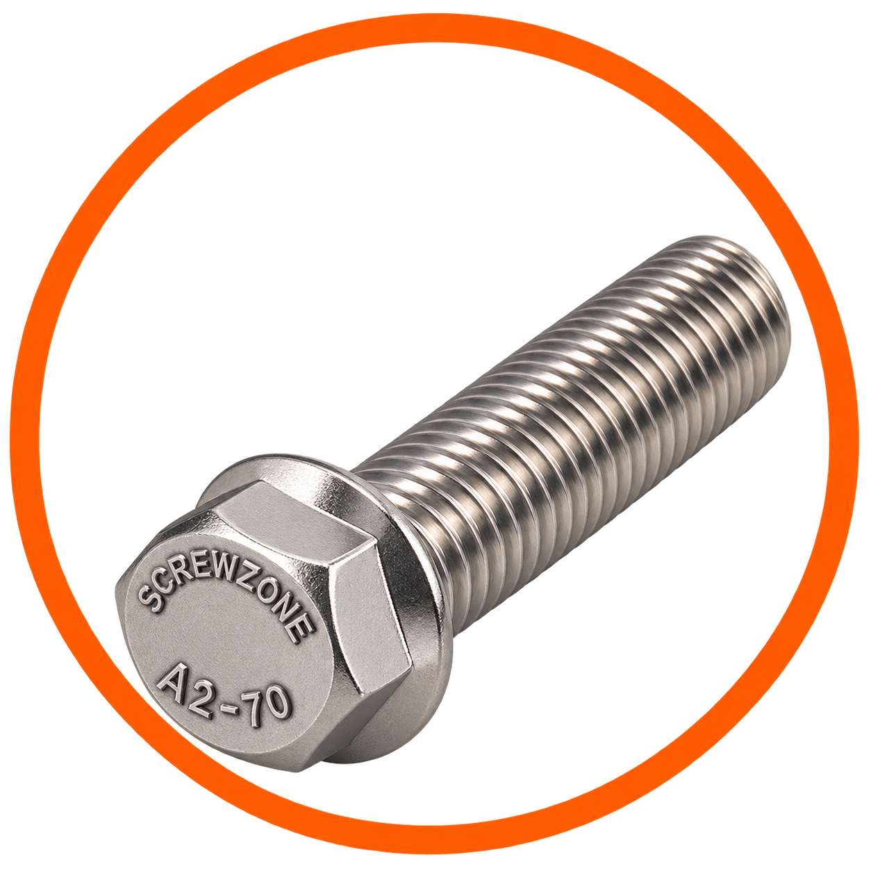 SS Hex Flange Bolt