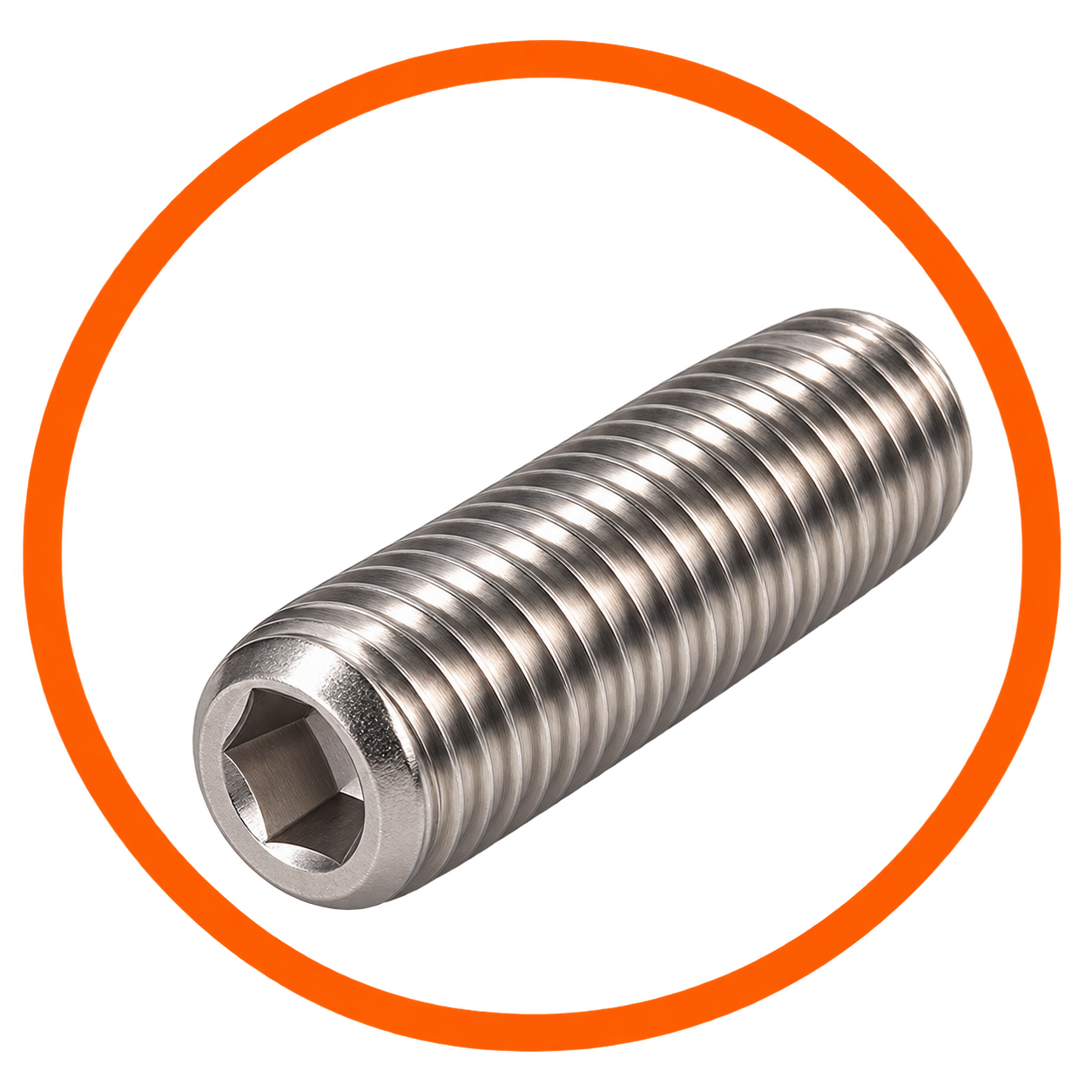 SS Grub Screw