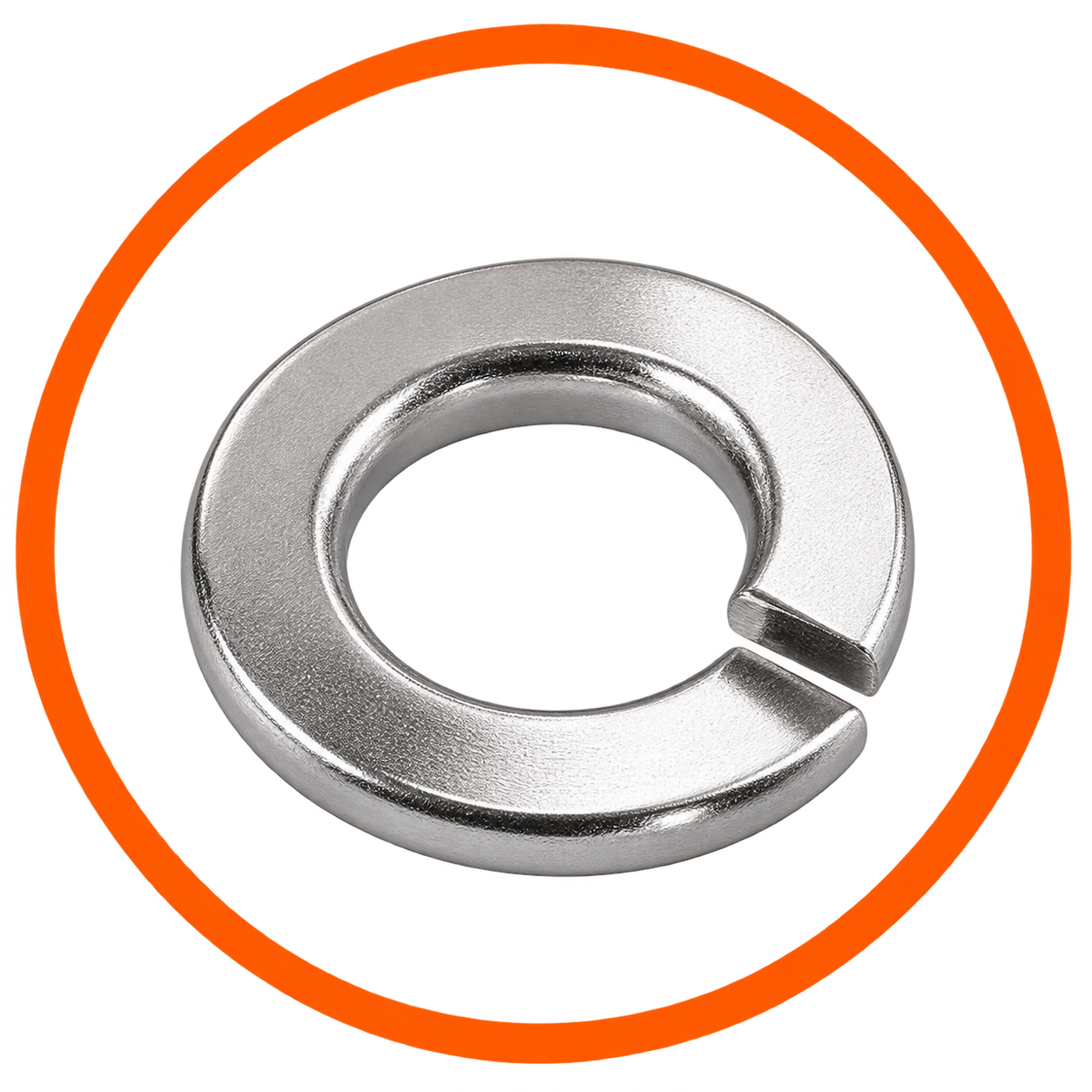 SS Spring Washer