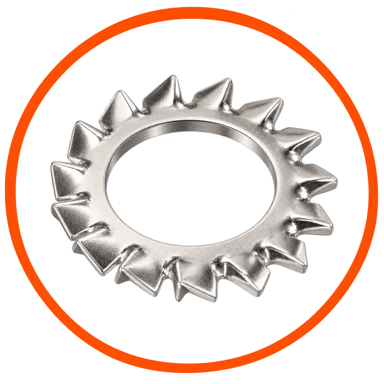 SS Star Washer ( Ext. Tooth )
