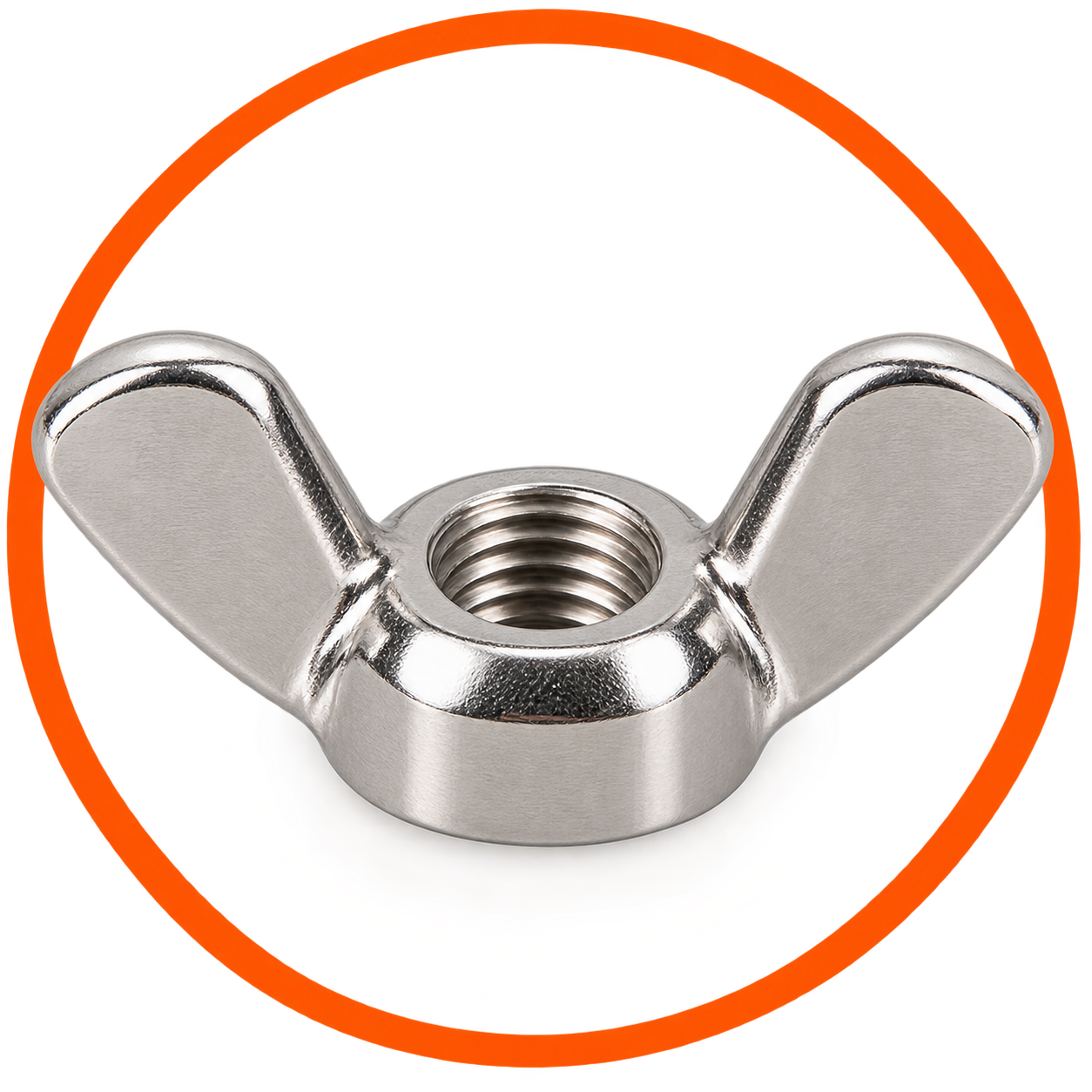 SS Wing Nut