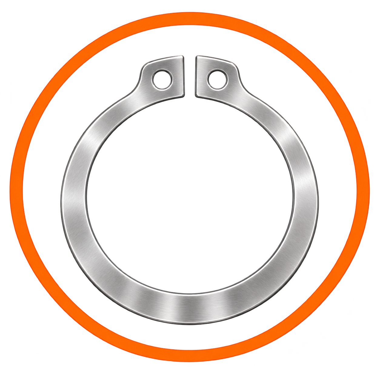 External Circlip